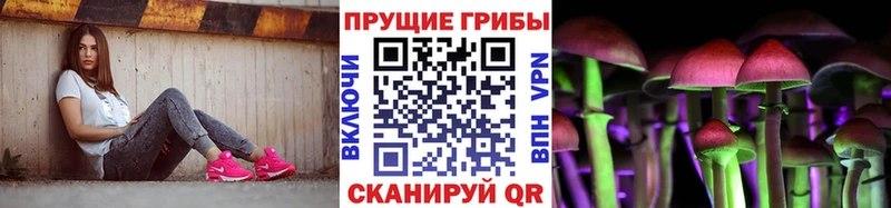 дарнет шоп  МЕГА ССЫЛКА  Галлюциногенные грибы MAGIC MUSHROOMS  Советская Гавань 